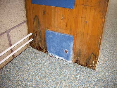 Wet rot in a swimming pool beam in a major UK School.