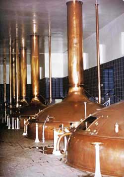 UltraSilvr anti bacterial additive used in distillery plant wall paint