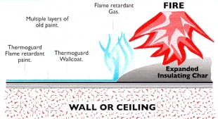 Wallcoat protecting a wall or ceiling